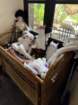 smdaimg_6623_small.jpg