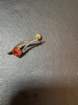 smdaimg_6661_small.jpg