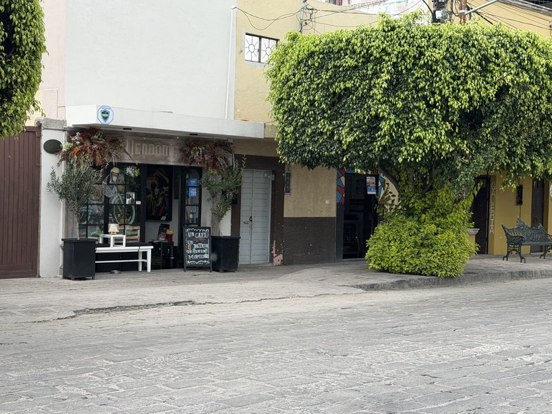 smdaimg_6676.jpg