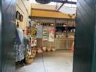 smdaimg_6704_small.jpg