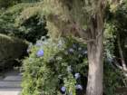 smdaimg_6755_small.jpg