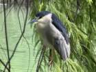 smdaimg_6773_small.jpg