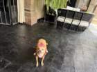 smdaimg_6812_small.jpg