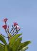 smdaimg_6841_small.jpg