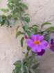 smdaimg_6842_small.jpg