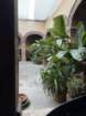 smdaimg_6885_small.jpg