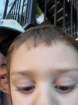 disimg_7199_small.jpg