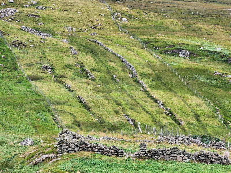 ukc20260813_125649.jpg