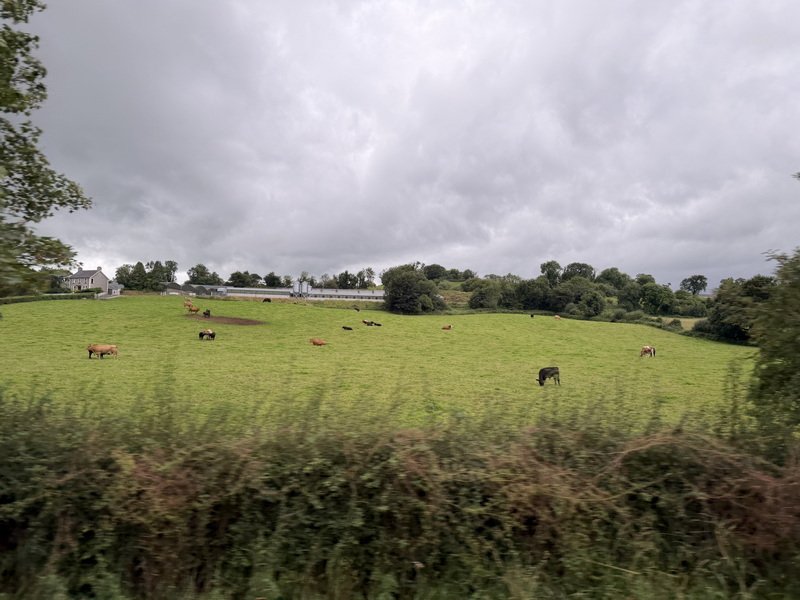 ukdimg_8495.jpg