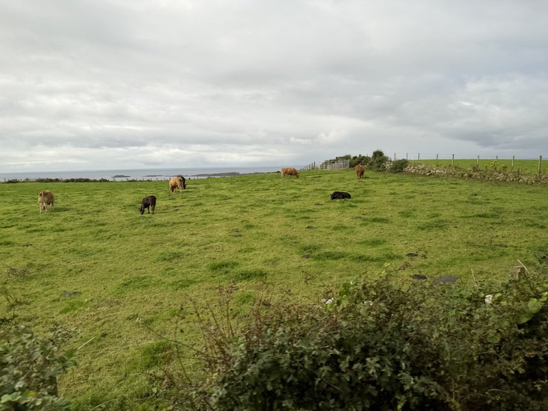 ukdimg_8594.jpg