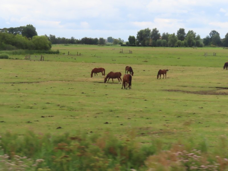 euaimg_0887.jpg