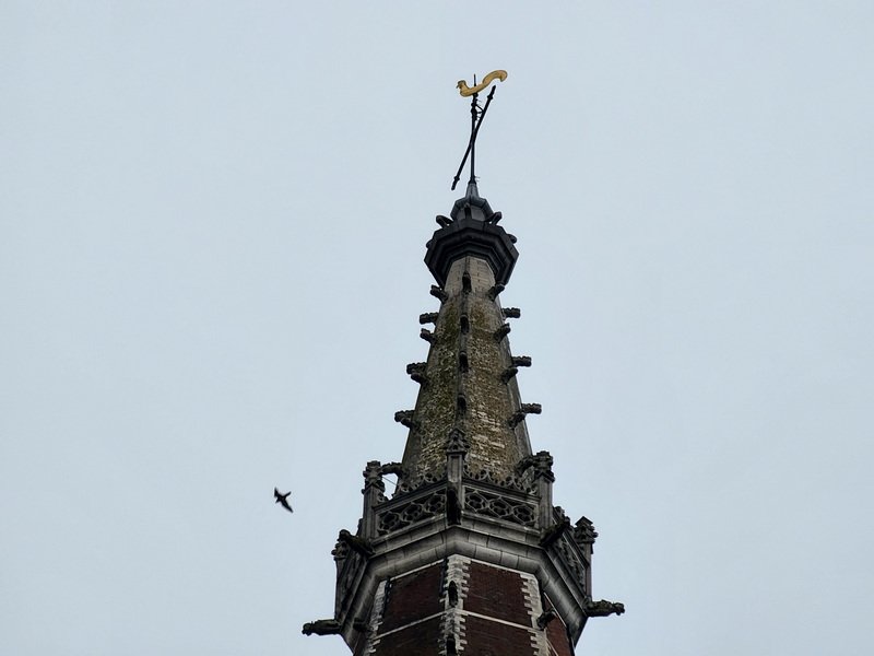 eub20260818_093723.jpg
