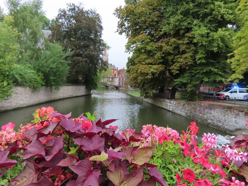 eubimg_0920.jpg