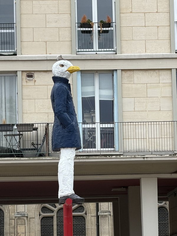 eudimg_9243.jpg